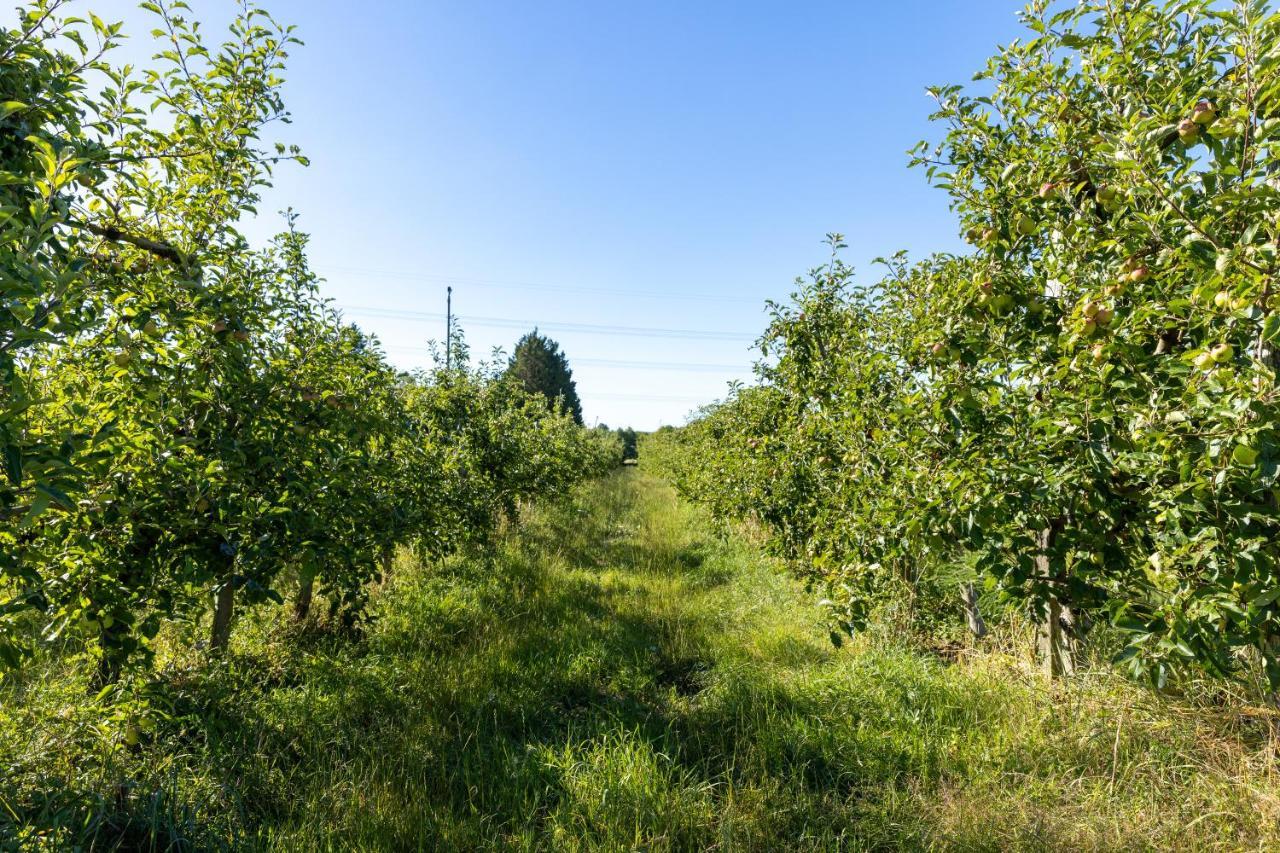 Pomme De Reinette Villa Azay-le-Rideau Eksteriør billede